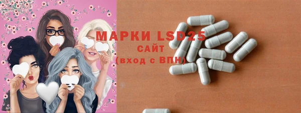 молекула духа Кулебаки