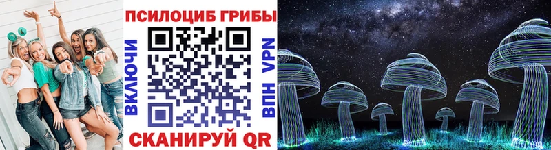 OMG ТОР Лангепас Псилоцибиновые грибы Cubensis